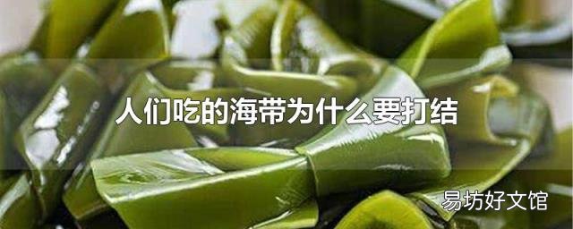 人們吃的海帶為什么要打結
