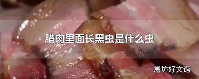 腊肉里面长黑虫是什么虫