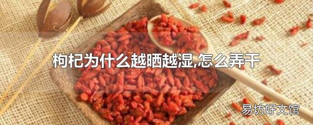 枸杞为什么越晒越湿,怎么弄干