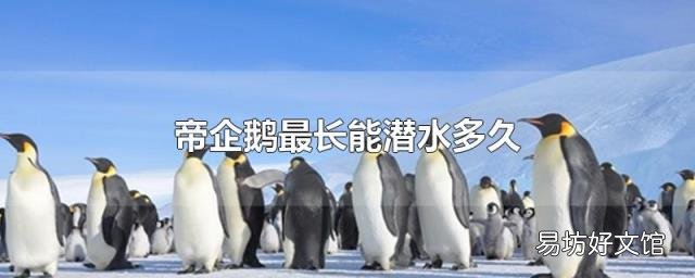 帝企鹅最长能潜水多久