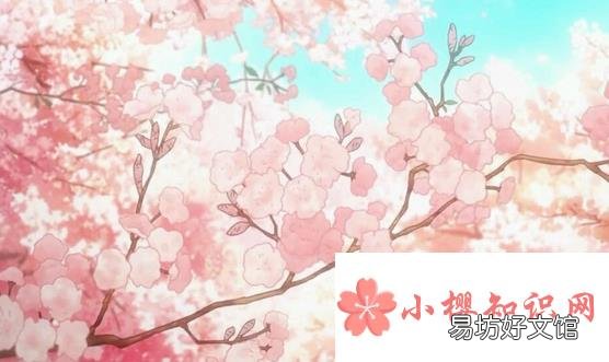 为什么樱花动漫看不了了?