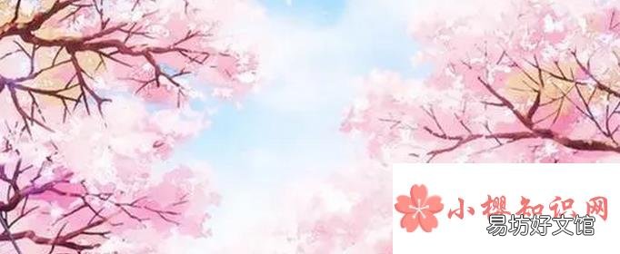 为什么樱花动漫看不了了?