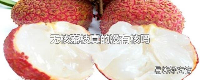 无核荔枝真的没有核吗