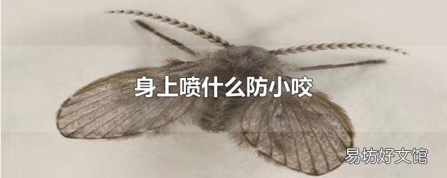 身上喷什么防小咬