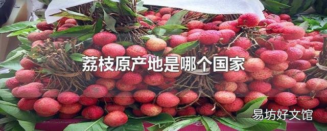 荔枝原产地是哪个国家