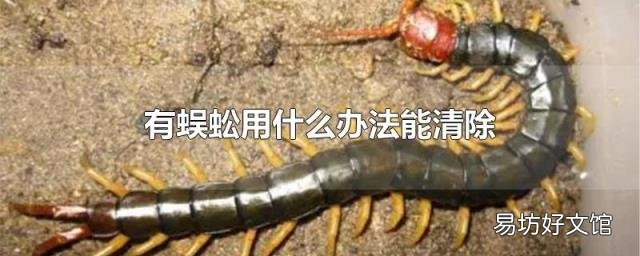 有蜈蚣用什么办法能清除