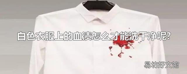 白色衣服上的血渍怎么才能洗干净呢?