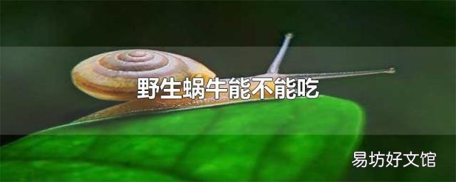野生蜗牛能不能吃