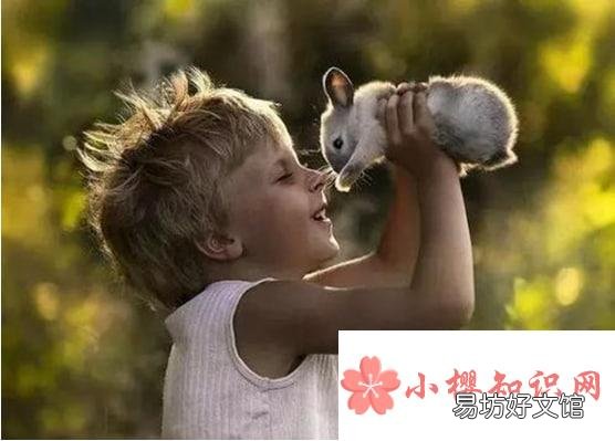 宝宝家居安全四杀手