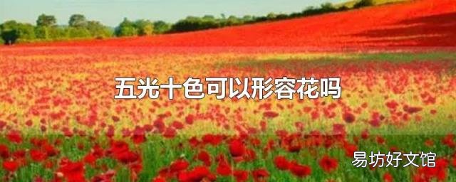 五光十色可以形容花吗