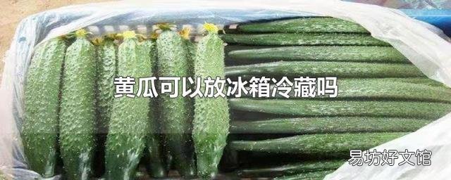 黄瓜可以放冰箱冷藏吗