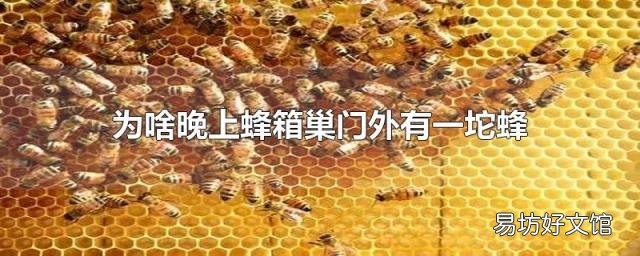 为啥晚上蜂箱巢门外有一坨蜂