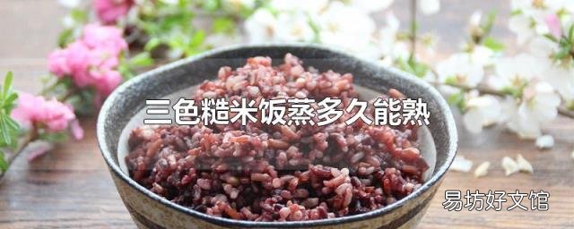 三色糙米饭蒸多久能熟