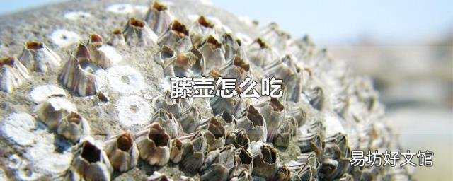 藤壶怎么吃
