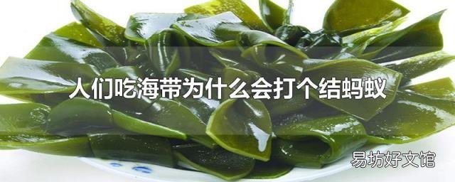 人们吃海带为什么会打个结蚂蚁