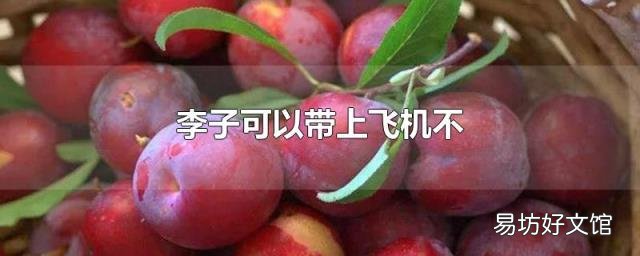 李子可以带上飞机不