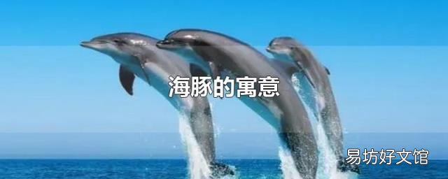 海豚的寓意