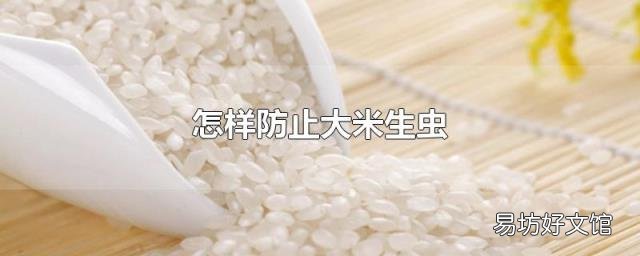 怎样防止大米生虫