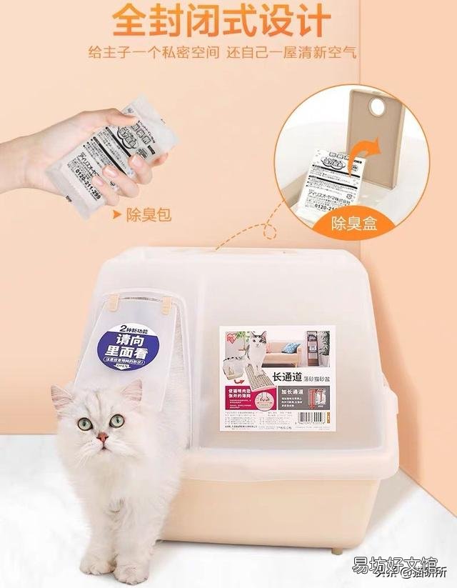 猫咪拉肚子但是精神很好(猫咪拉肚子了吃什么药)