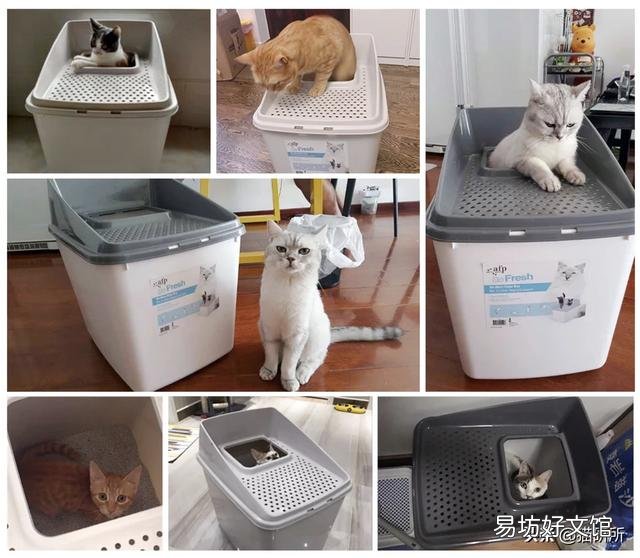 猫砂盆全封闭的好还是半封闭的好(猫砂盆全封闭的好不好)