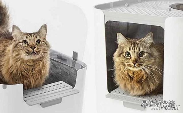 猫砂盆全封闭的好还是半封闭的好(猫砂盆全封闭的好不好)