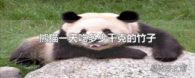 熊猫一天吃多少千克的竹子