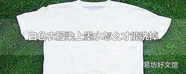 白色衣服染上墨水怎么才能洗掉
