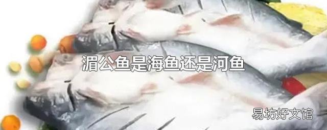 湄公鱼是海鱼还是河鱼