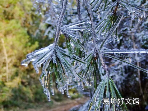 2021年南方什么时候入冬