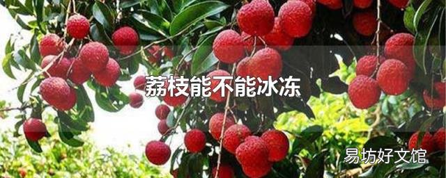 荔枝能不能冰冻