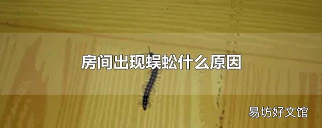 房间出现蜈蚣什么原因
