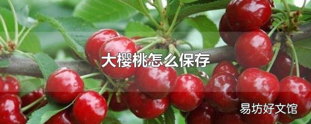 大樱桃怎么保存