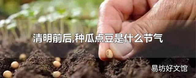 清明前后,种瓜点豆是什么节气