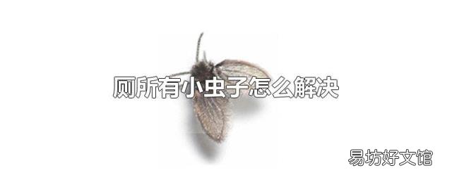 廁所有小蟲子怎么解決