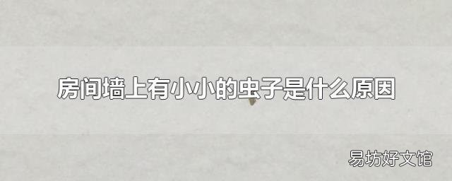 房间墙上有小小的虫子是什么原因