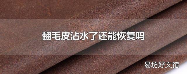 翻毛皮沾水了还能恢复吗