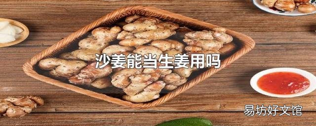 沙姜能当生姜用吗