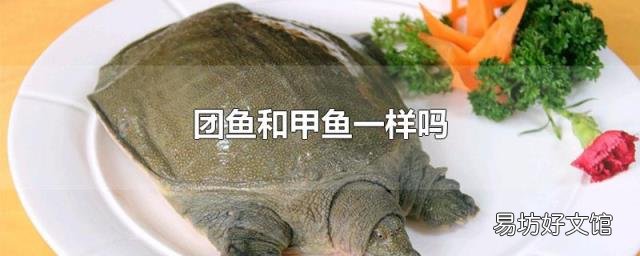 团鱼和甲鱼一样吗