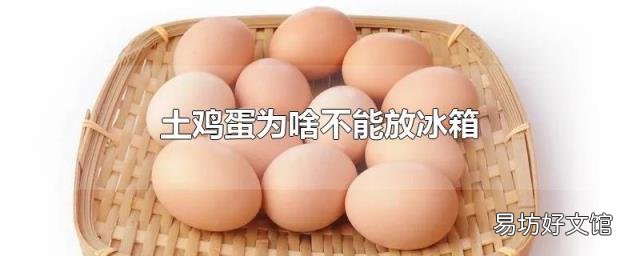 土鸡蛋为啥不能放冰箱