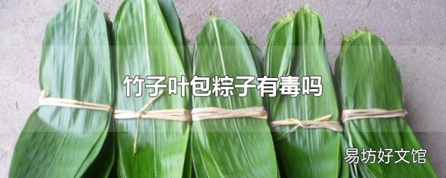 竹子叶包粽子有毒吗