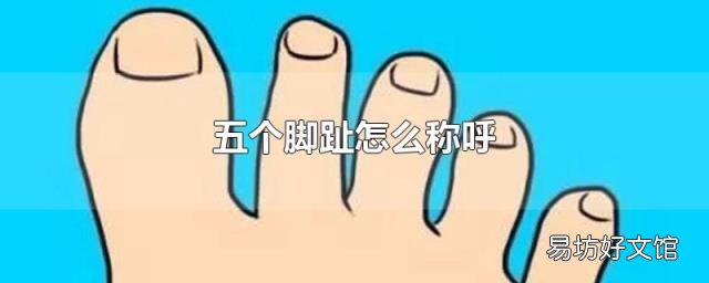 五个脚趾怎么称呼