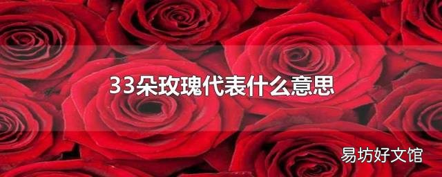 33朵玫瑰代表什么意思