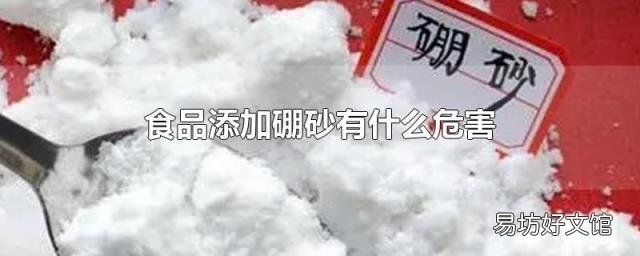 食品添加硼砂有什么危害