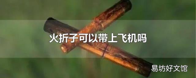 火折子可以带上飞机吗