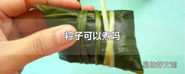 粽子可以煮吗