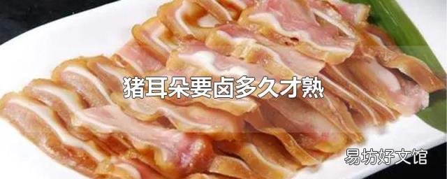 猪耳朵要卤多久才熟
