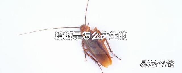 蟑螂是怎么产生的
