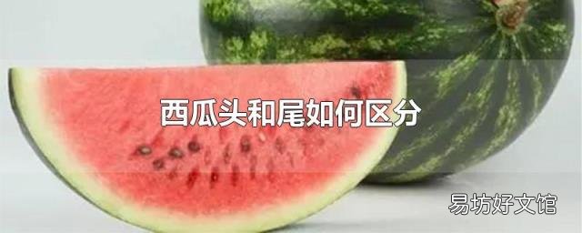 西瓜頭和尾如何區(qū)分