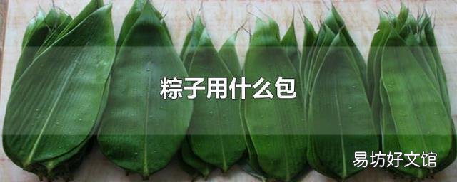 粽子用什么包