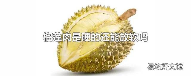 榴莲肉是硬的还能放软吗